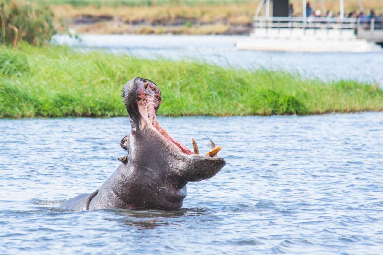 Chobe Safari Lodges Kasane Eksteriør billede