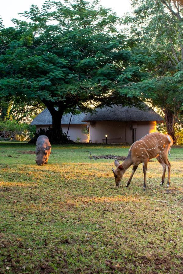 Chobe Safari Lodges Kasane Eksteriør billede