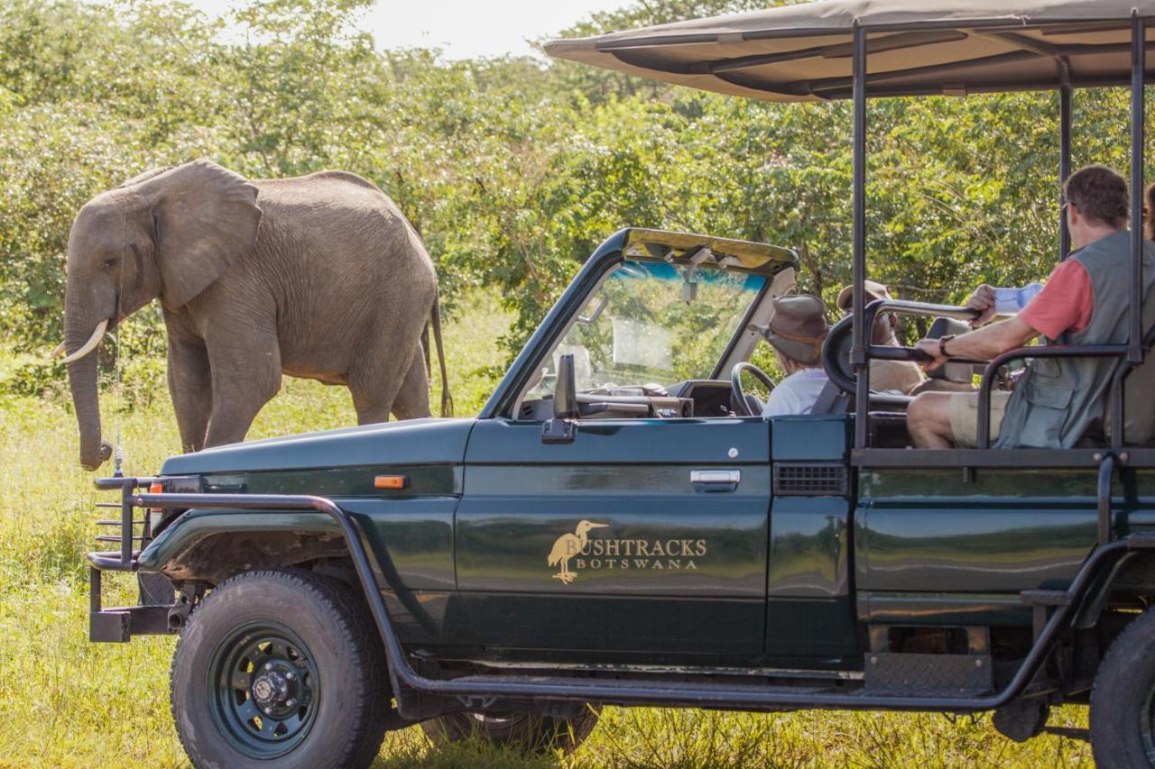 Chobe Safari Lodges Kasane Eksteriør billede