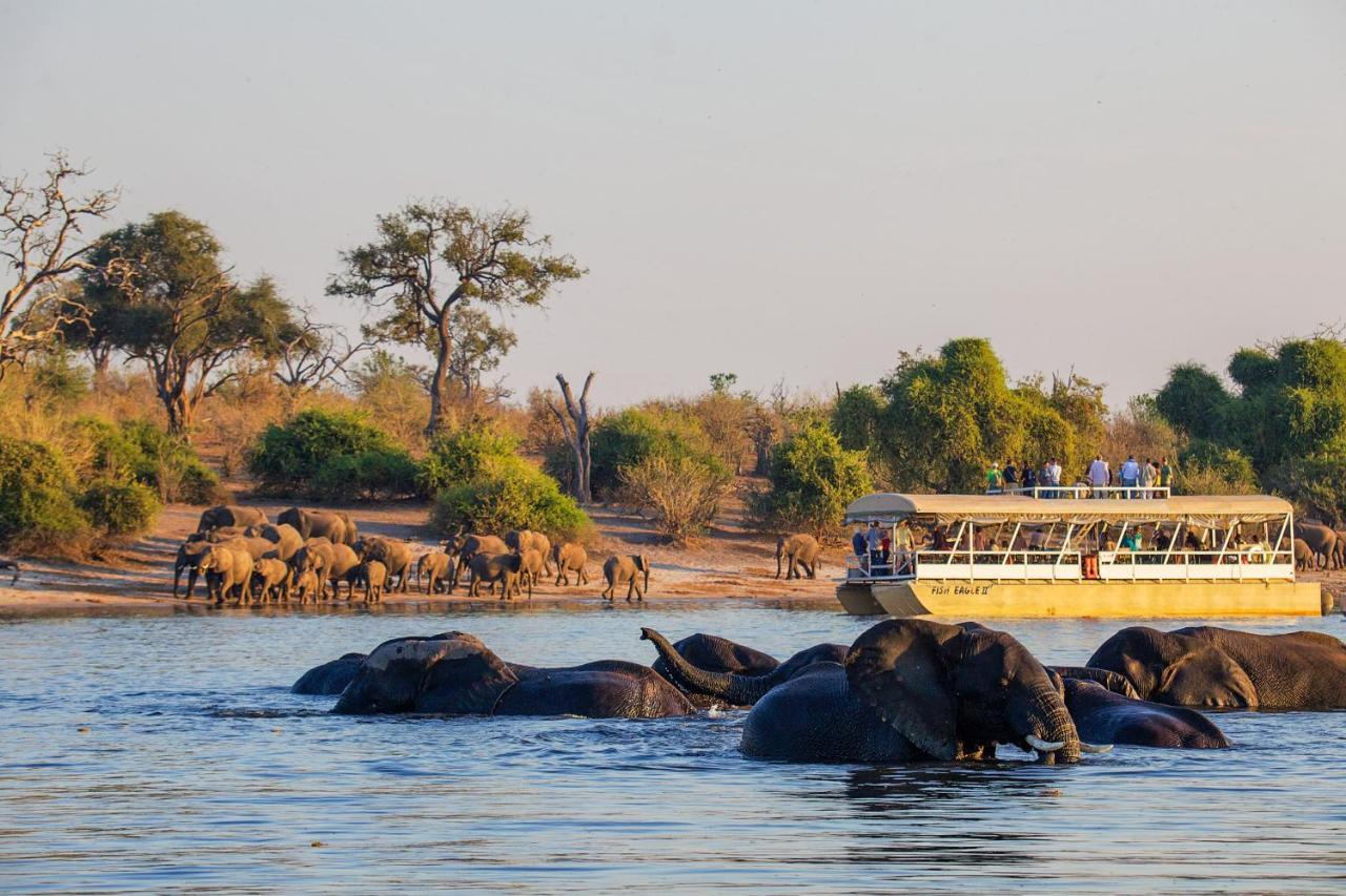 Chobe Safari Lodges Kasane Eksteriør billede